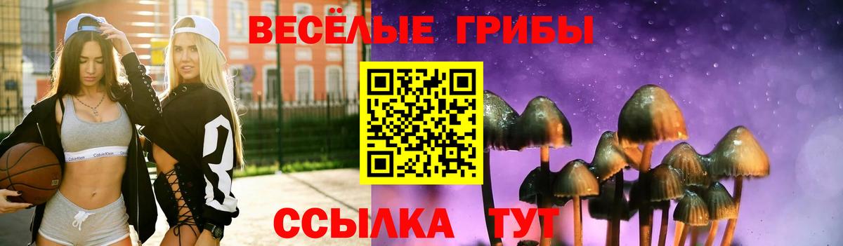 Галлюциногенные грибы Cubensis  как найти закладки  Железногорск  Вход с VPN  Галлюциногенные грибы Psilocybine cubensis 